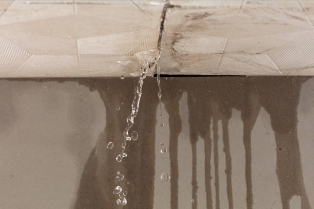 Professional Flood Damage Cleanup technician working in Little River-Academy, TX